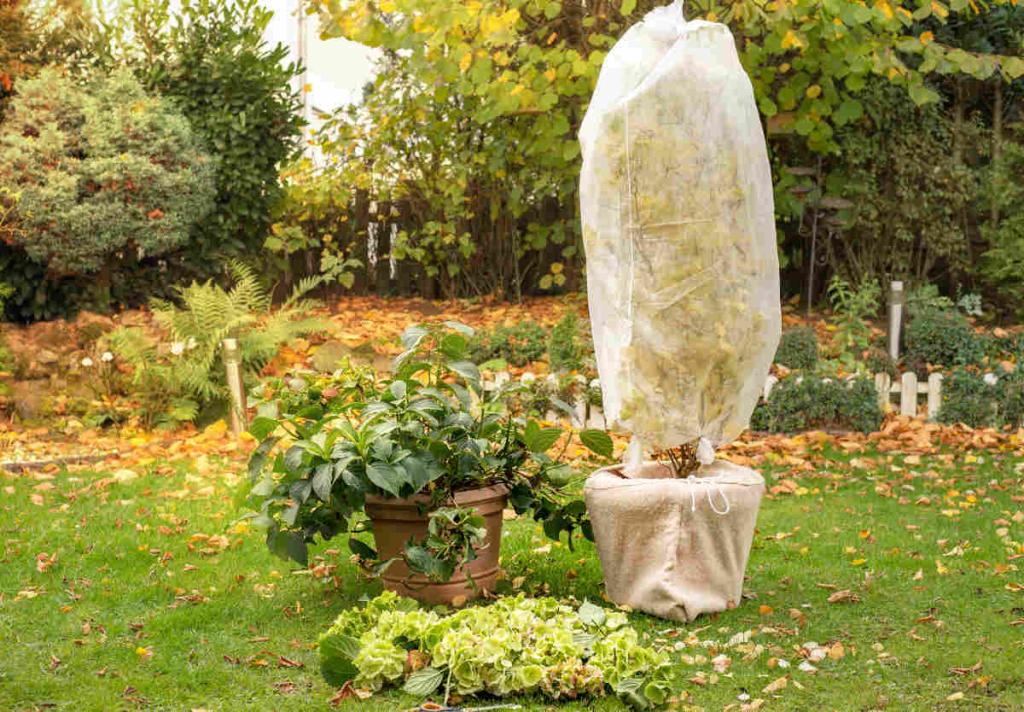 Voile D'hivernage WERKA PRO Vert 90g/m² - 1 Rouleau De 1x25m, Protection Pour Plantes Contre Le Froid