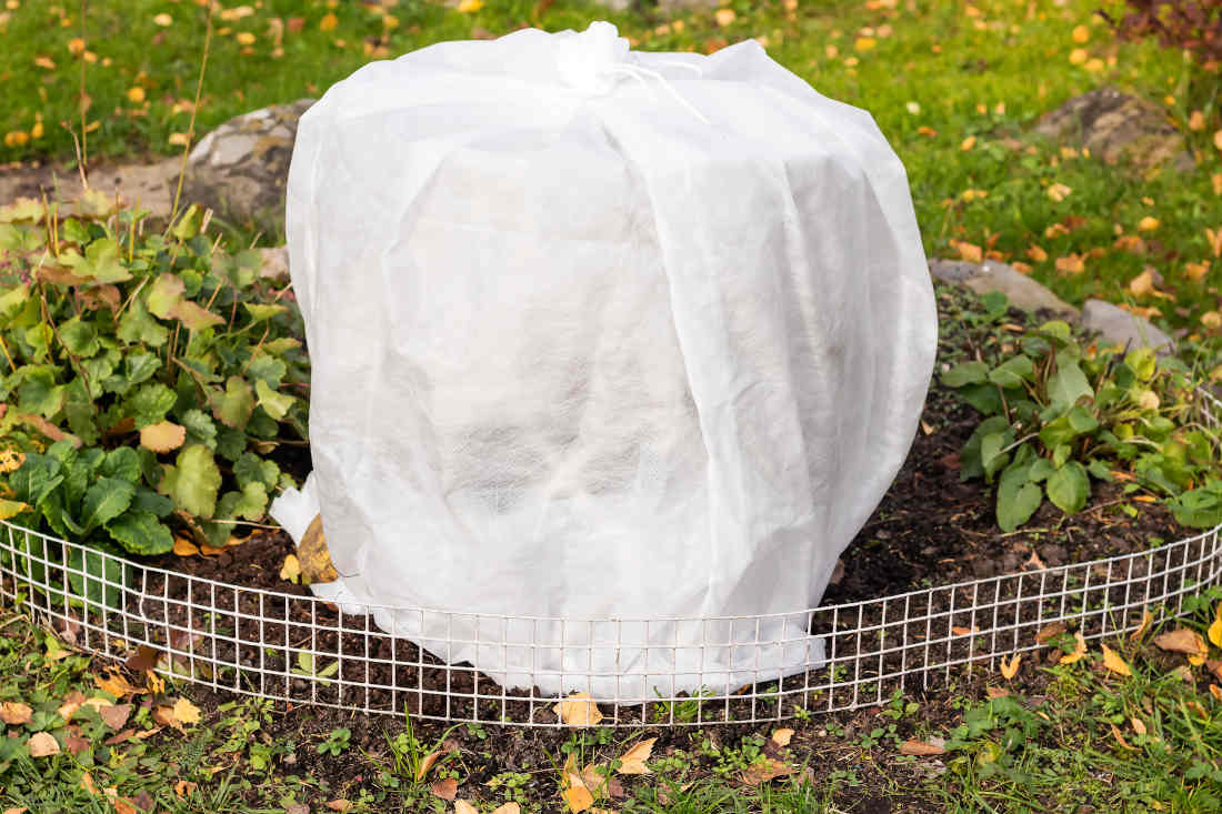 Le voile d'hivernage pour mon jardin