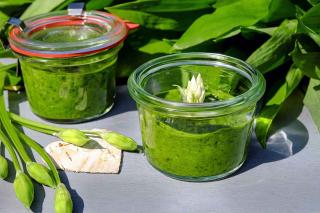 Conservation du pesto à l'ail des ours