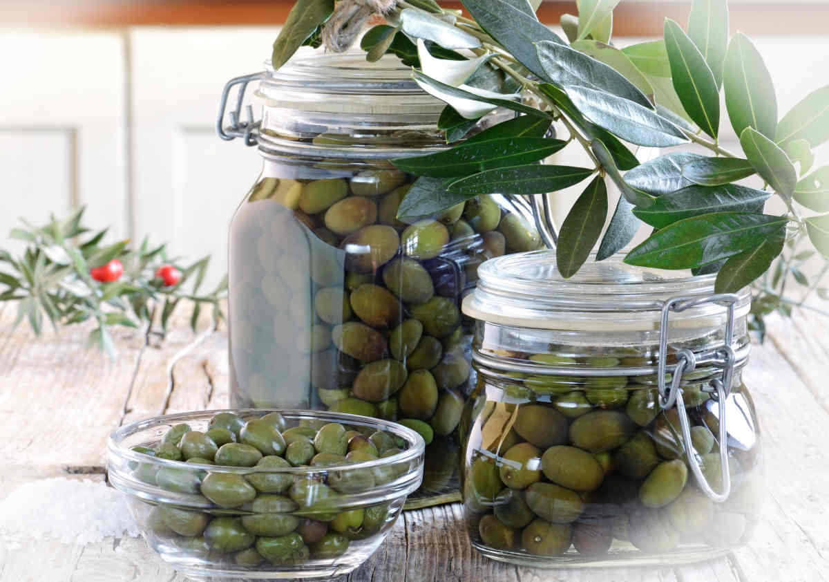 Olive en saumure recette