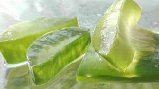 Pulpe d'aloe vera