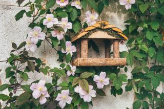 attirer les oiseaux au balcon