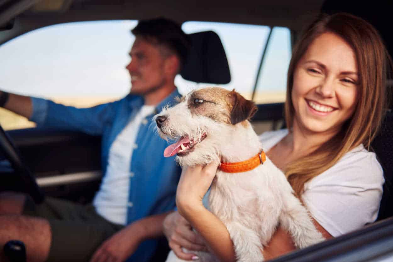 blablacar avec un chien