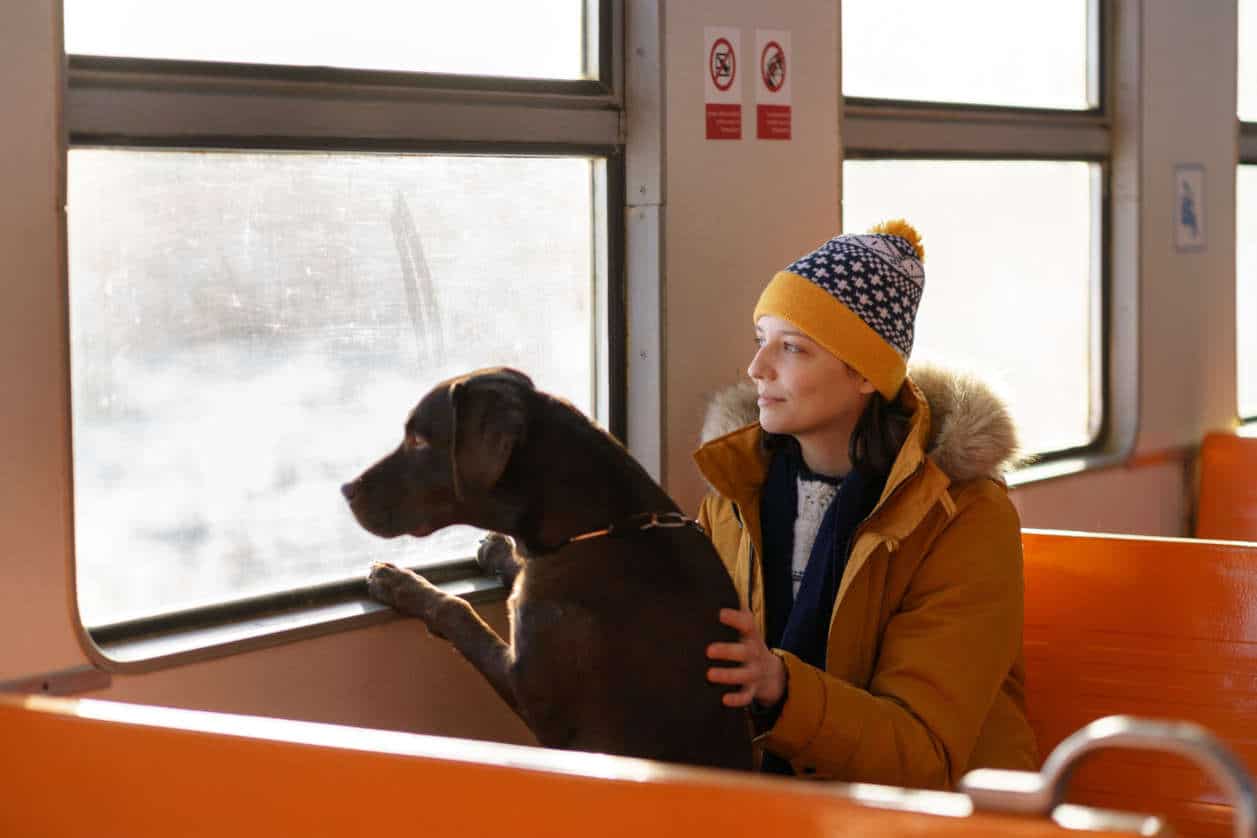 chien et transport en commun les règles