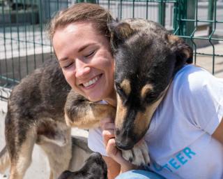 faire garder son chien en cas d'hospitalisation