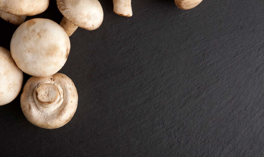 Recettes avec des champignons