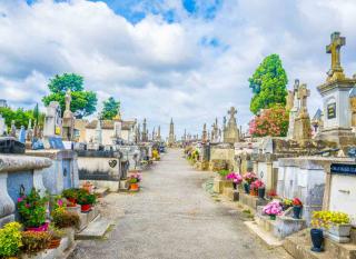 cimetière plantes culture difficile