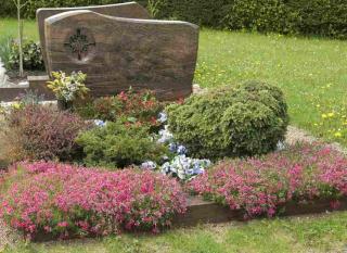cimetières vivaces arbustes