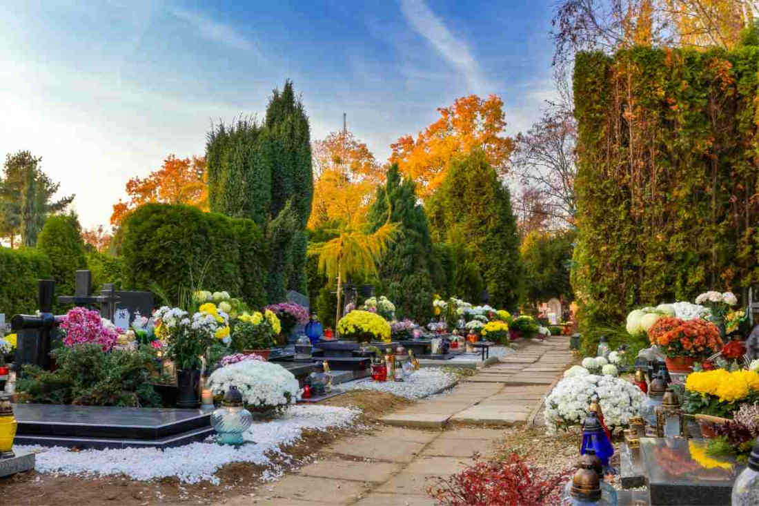 plantes et fleurs pour fleurir tombe cimetiere