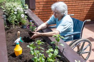 benefice jardinage santé