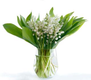 bouquet muguet vase