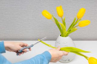 pourquoi couper tige fleur coupée bouquet vase