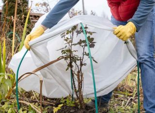 protection goutte froide