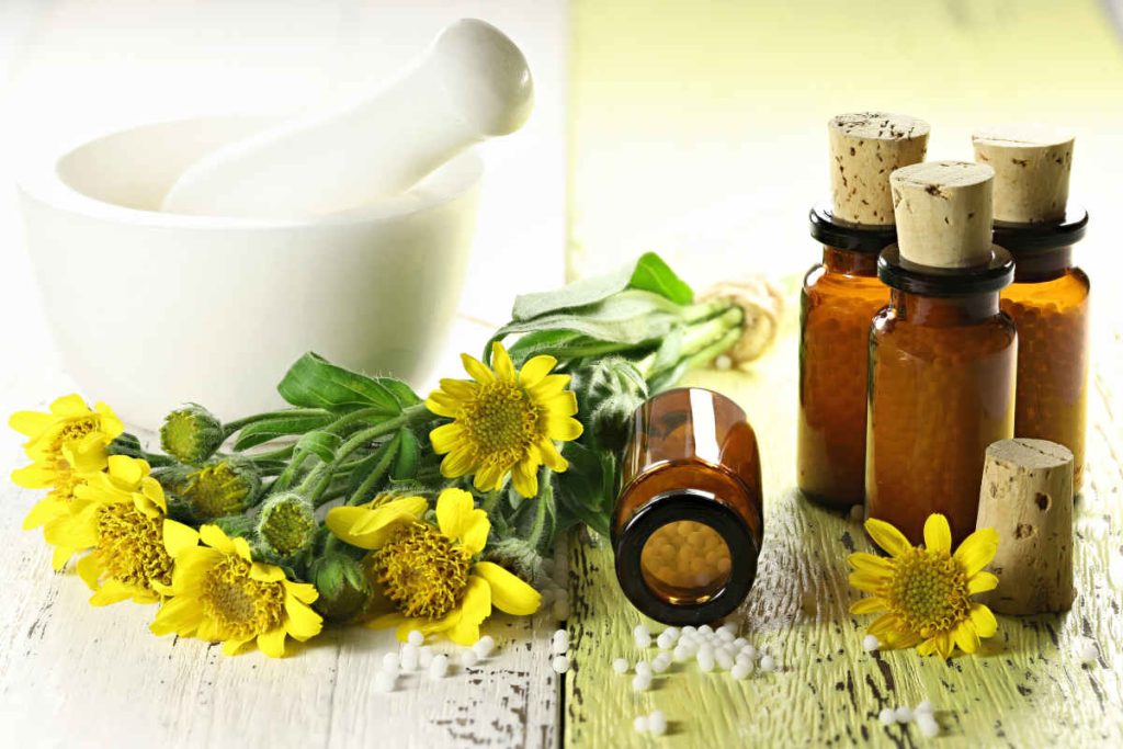 Arnica bienfaits utilisation