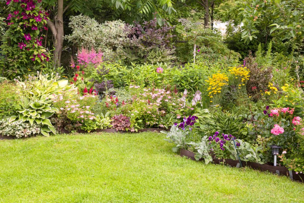 réussir un massif de plantes fleurs