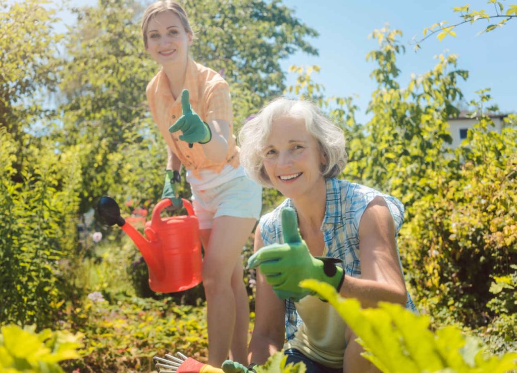astuce recette grand-mère jardin plantes