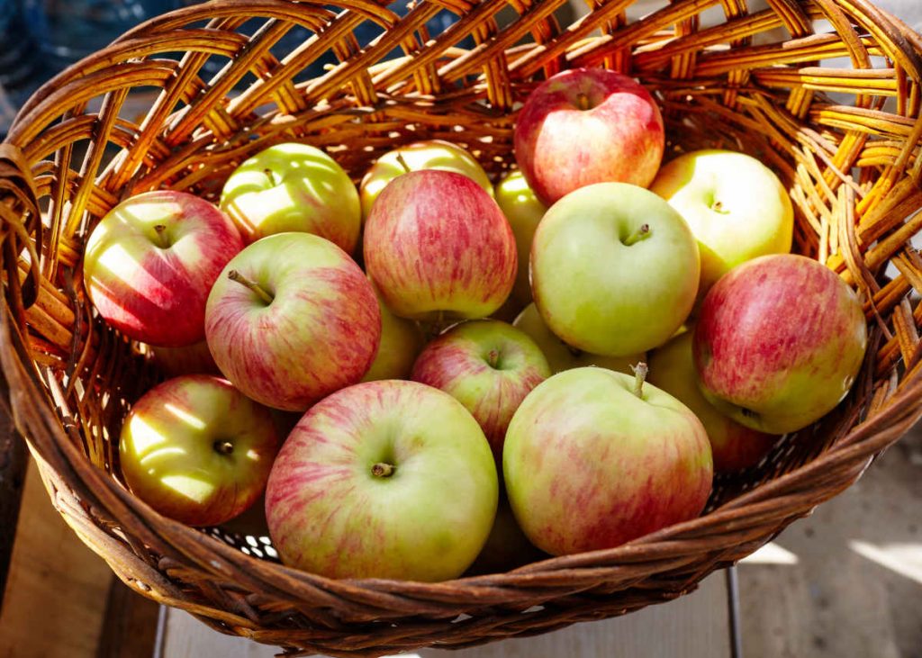 Comment conserver pommes