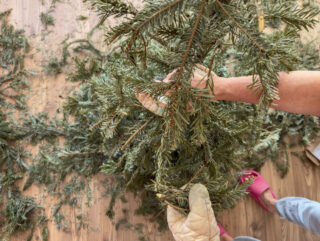 sapin noel utilisation jardin