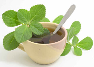 utilisation boldo - infusion