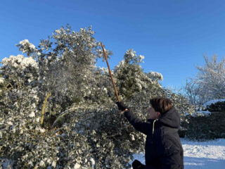 comment faire tomber la neige