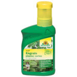 Engrais plante verte