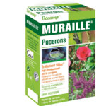 MURAILLE PUCERONS
