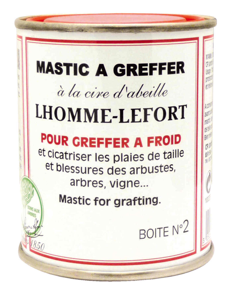 Mastic Greffer cicatrisation