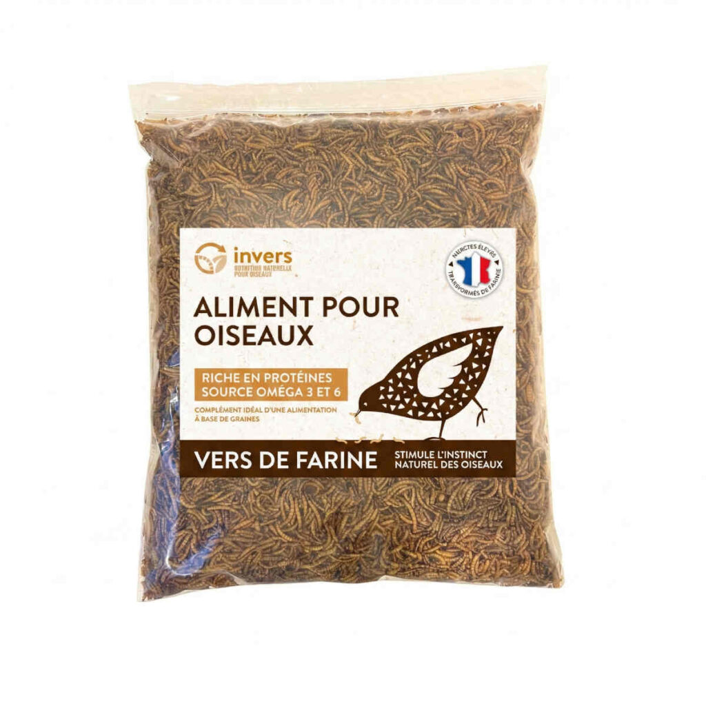 Vers de farine 1kg