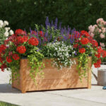 bac à fleurs sur une terrasse avec plantes ornementales
