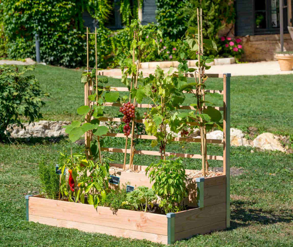 carré potager double étages treillis