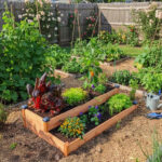 carré potager sur 2 niveaux