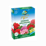 engrais geranium