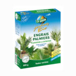 engrais palmier plante exotique