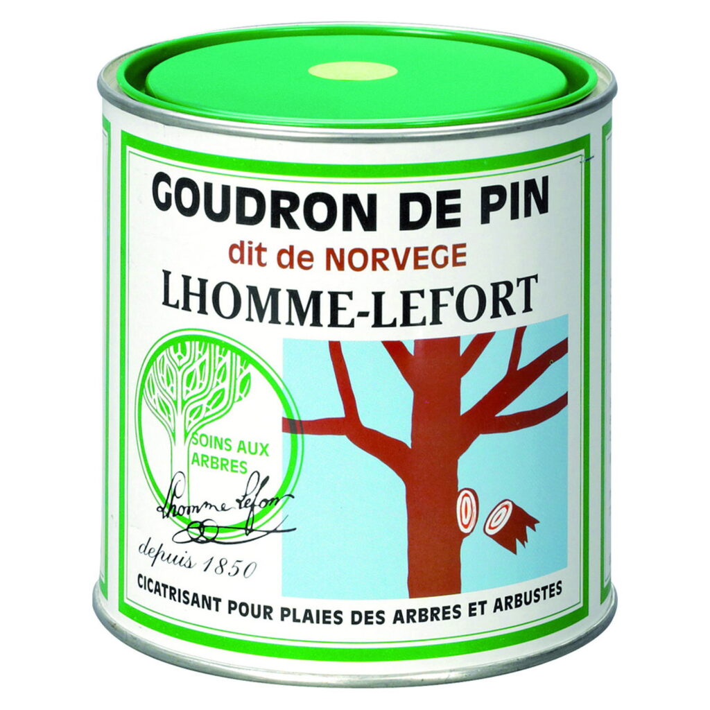 Goudron de pin de Norvege Lhomme-Lefort, boite 650 g