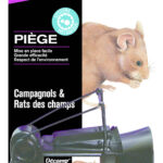 piege campagnol & rats des champs