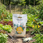 terreau potager legumes aromatiques