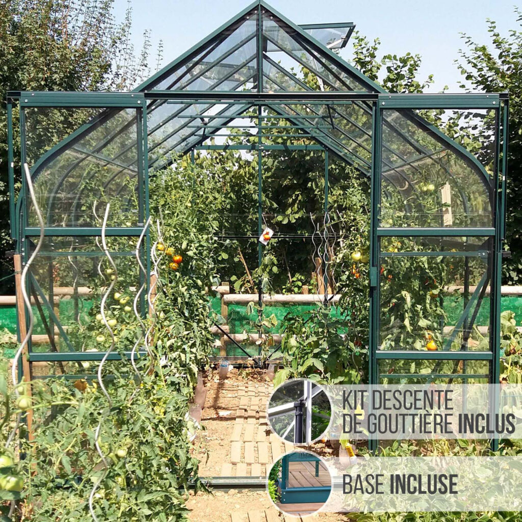 Serre de jardin Aloé Vert vue extérieure complète 2,55 x 3,17 m