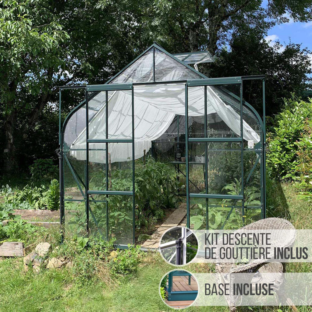 Serre en verre Aloé Vert vue d'ensemble 2,55 x 3,79 m