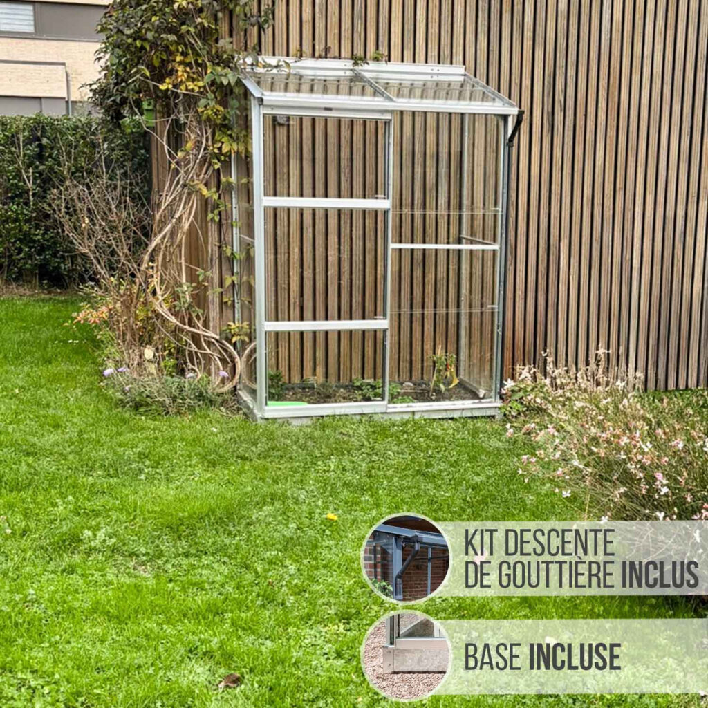 Serre de jardin murale LAMS Mélissa 0,90 m² en aluminium naturel avec verre trempé