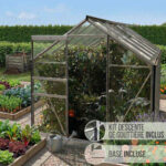 Serre en verre Allium 7,30 m²