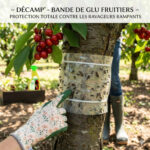 bande ruban glu insecte fruitiers