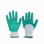 gants rosier epines ronces