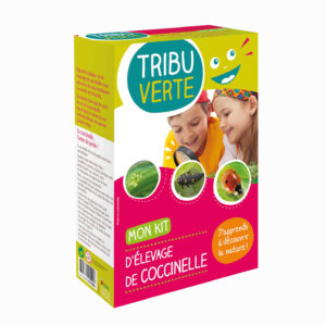 kit élevage coccinelle