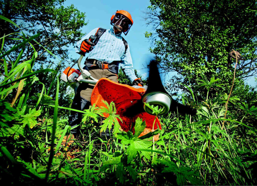 entretien de votre jardin