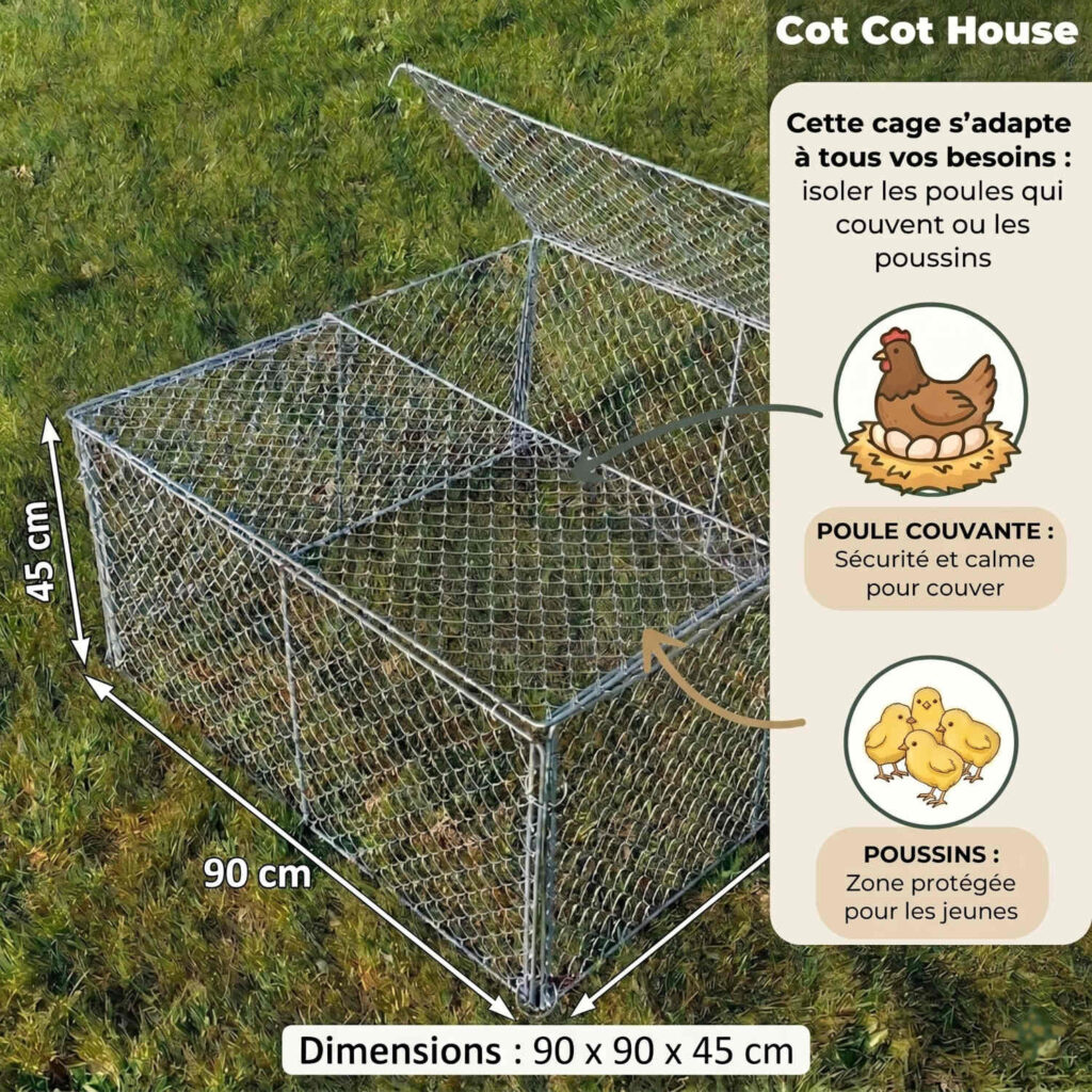 cage carré poule grillage artisanal