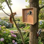 Plaque de protection pour nichoir ProtecPiaf - Sécurité des oiseaux