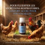 SPEKTOR - Fluidifiant Respiratoire pour Volailles | Confort Respiratoire Optimal