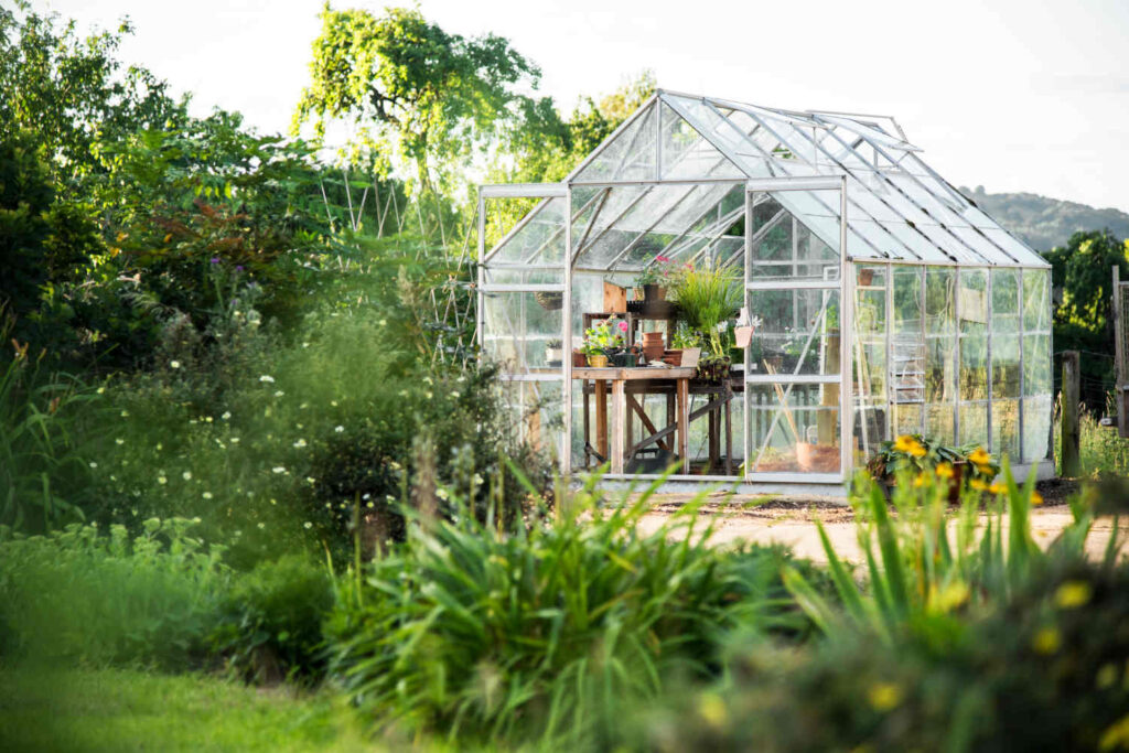 serre jardin verre