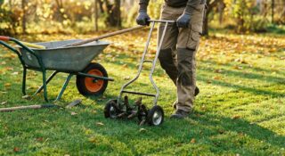 aeration-pelouse-automne