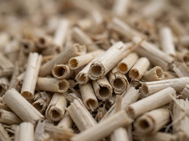 Gros plan de miscanthus broyé : segments de tiges creuses beiges de 1 à 3 cm, tube visible à la coupe